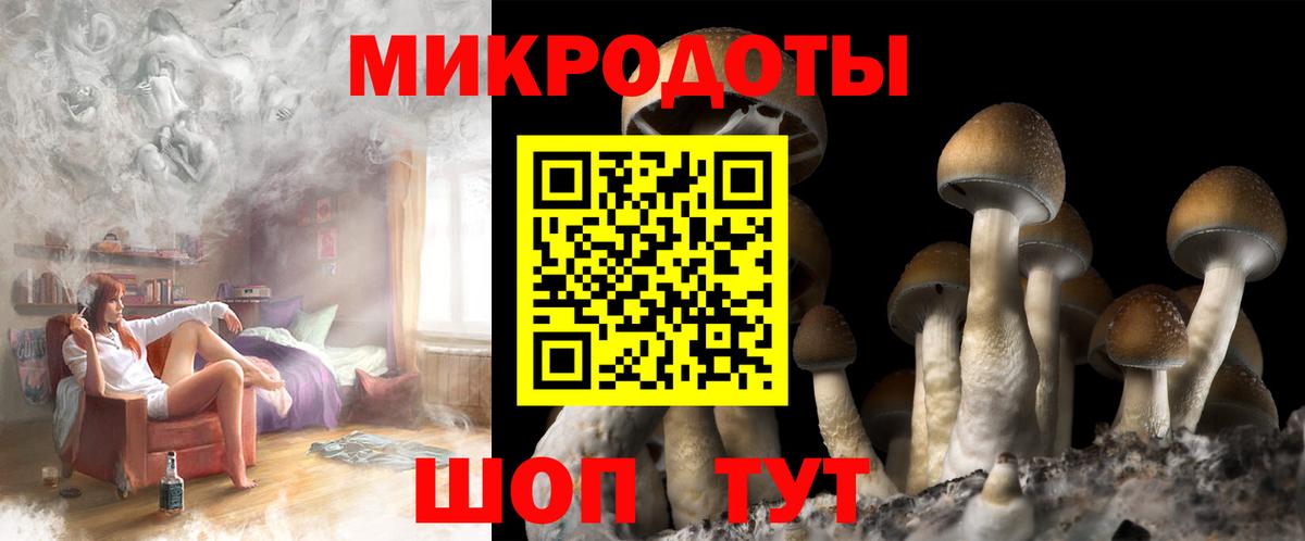 Торжок  сколько стоит  Вход с VPN  Галлюциногенные грибы прущие грибы 