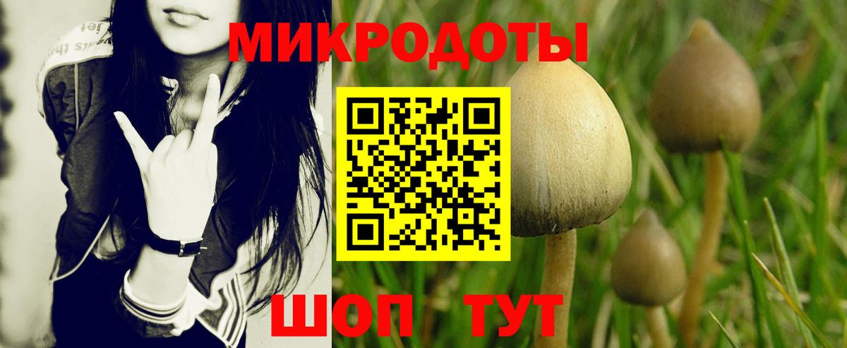 Псилоцибиновые грибы прущие грибы Торжок